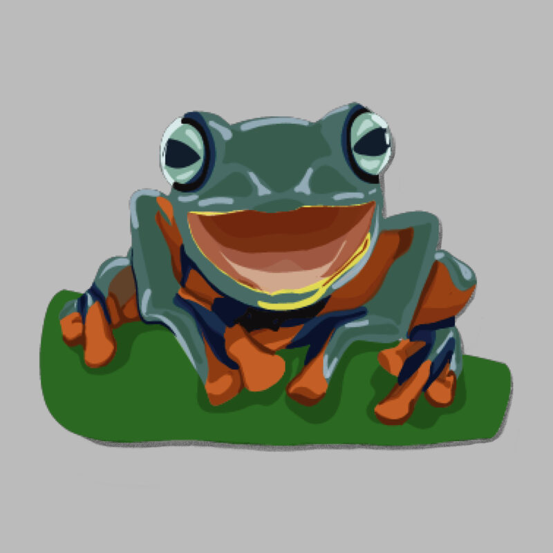 frog